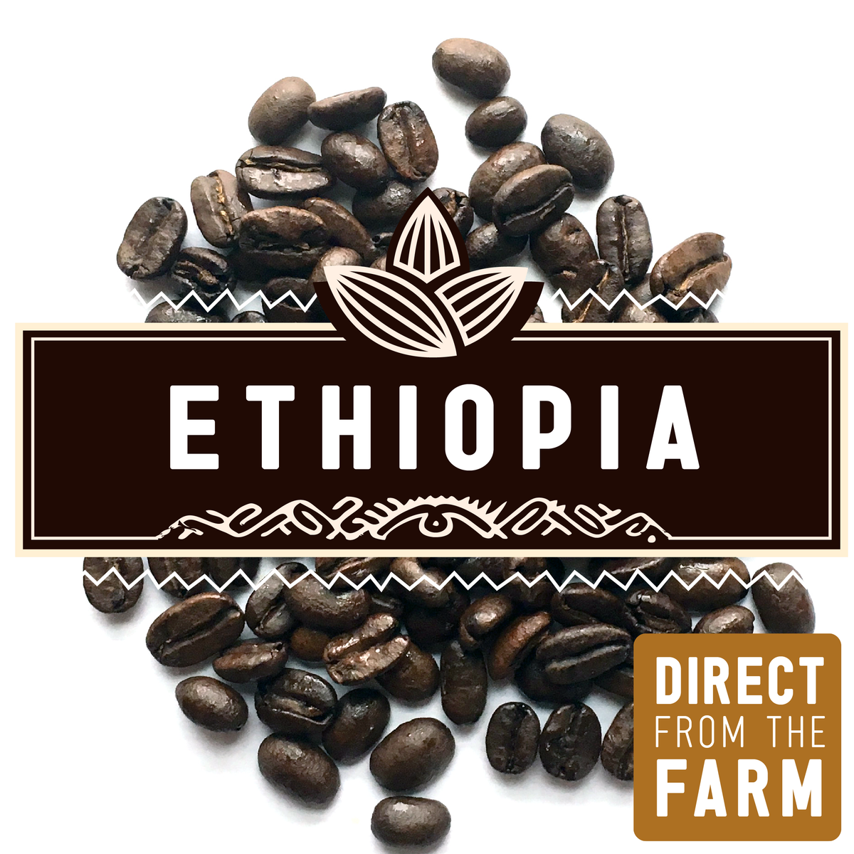 Ethiopia Yirgacheffe Dark Roast | Bulk 5lb. – Hemisphere Coffee Roasters